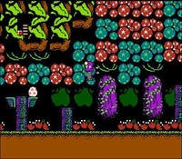 Cocoron sur Nintendo Nes